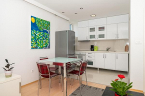 Luxury apartment Silvana in the city center